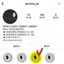 페르소나 피티샵 이미지