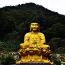 백천사 이미지