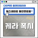 대구케라폭시 이지디자인 110번 시공후기 힐스테이트 동인센트럴