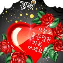개인용달화물 Daum카페