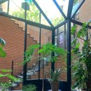 깨닭파닭 이미지