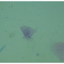 구포동물병원 이미지