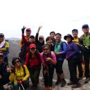 러브홀릭 이미지