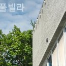 라엔네풀빌라 이미지