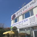 밥도둑 | 여수 돌산갓김치 맛집 인정… 진짜 밥도둑 후기 (택배 가능)