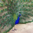 양편농장 이미지