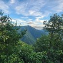 대덕산(상인고-산불감시초소-542봉- 원점회귀(편도34m00s)3.35km(0h00m00s)-260831 이미지