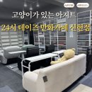 고양이 있는 24시 데이즈 만화카페 신현점 후기📚🐈