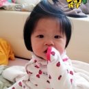 COZY GARDEN(코지가든) 이미지