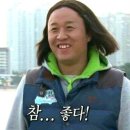 멍멍하개 이미지