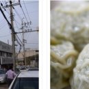 정다운 동물종합병원 이미지