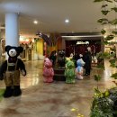 테지움사파리 | 제주 애월 가볼만한곳 아이랑 실내 체험 테디베어하우스 테지움