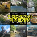 인제 당일치기 여행 아침가리계곡 트레킹(with 로망스투어)