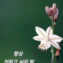 초롱커피숍 이미지