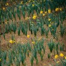 공곶이가는길 이미지