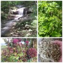 물골농장 이미지