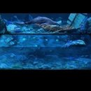 (주)신안전설 이미지