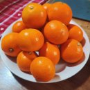 안당농장 이미지