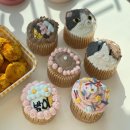 봄이까까 이미지