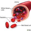 에이치성형외과의원 | 헤마퓨어 IH 후기, 직접 받아본 30대 직장인 솔직 체험담