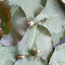 남초등학교정문 이미지