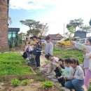 화동농장 이미지