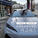 펫스미스(Pet Smith) | 더 스미스(The Smith) 미러 블루 반사필름 후기 byd 씨라이언7 썬팅 추천 시공 리얼후기