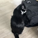 고덕보건지소 이미지