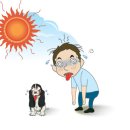Summer brings about heat-related illnesses 이미지