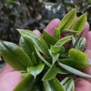 대운써비스 이미지