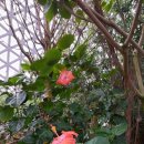 거제식물원 이미지