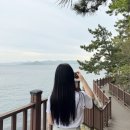 저도 비치로드 | 창원 가볼만한곳 추천 :: 창원 걷기좋은 오션뷰 데크길 저도비치로드