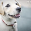 소래동물병원 이미지