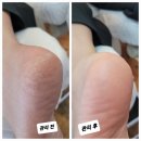레푸스여수웅천점