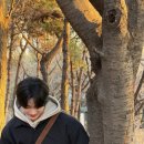 피키래빗 이미지