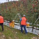 서구동행정복지센터 이미지