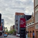 WA, 와 모텔 | 퍼스 여행 4일차 코스 총정리｜피나클스·동가라·핑크호수·칼바리 로드트립 후기