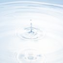 오비도스 이미지