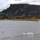 여기우다 이미지