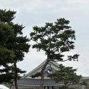경상북도청 동락관 1층 대공연장 | 경상북도청 동락관 개관10주년기념콘서트/머글의 소란 콘서트 후기