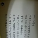 두리원색