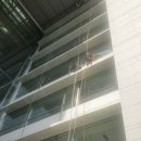 본자일 | 🏢영등포구 여의도 산업은행 본점 자일로프 청소작업 후기ㅣ대형건물 비둘기배설물과 거미줄까지 유리창...