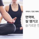 더블에잇휘트니스 이미지