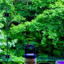 국립황정산자연휴양림 | 단양, 국립 황정산자연휴양림 - 연립동 C 신선봉 1박 후기