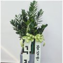 도우미꽃식물원 이미지