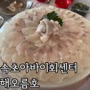 해오름호 | 아이랑 속초여행 아바이활어회센터 해오름호 솔직후기