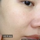 워터트리 | 백탁 없는 가벼운 선세럼, 테이지 시카트리 워터 젤리 선세럼 후기