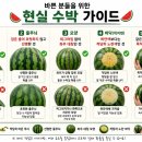 장사마트