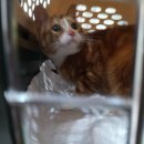 한스동물병원 이미지