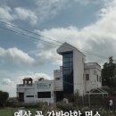 언양자연염소목장 | 예산 아이랑 가기 좋은 자연목장, 아그로랜드 태신목장